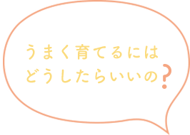 うまく育てるにはどうしたらいいの？