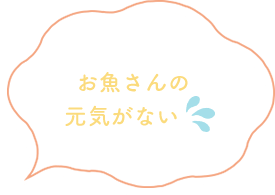 お魚さんの元気がない